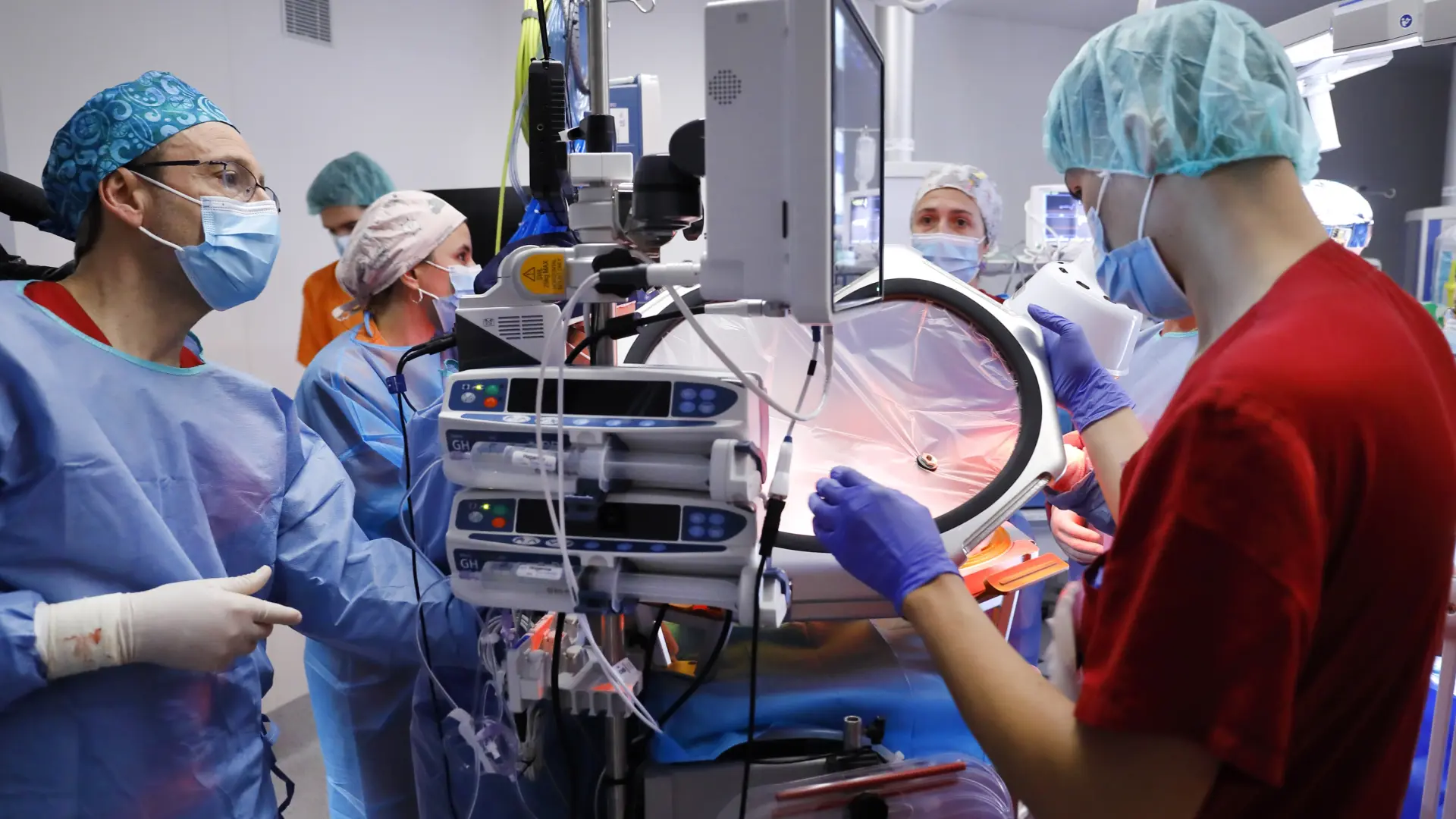 Un prototipo de placenta artificial pensada para prematuros mantiene con vida a un feto de oveja