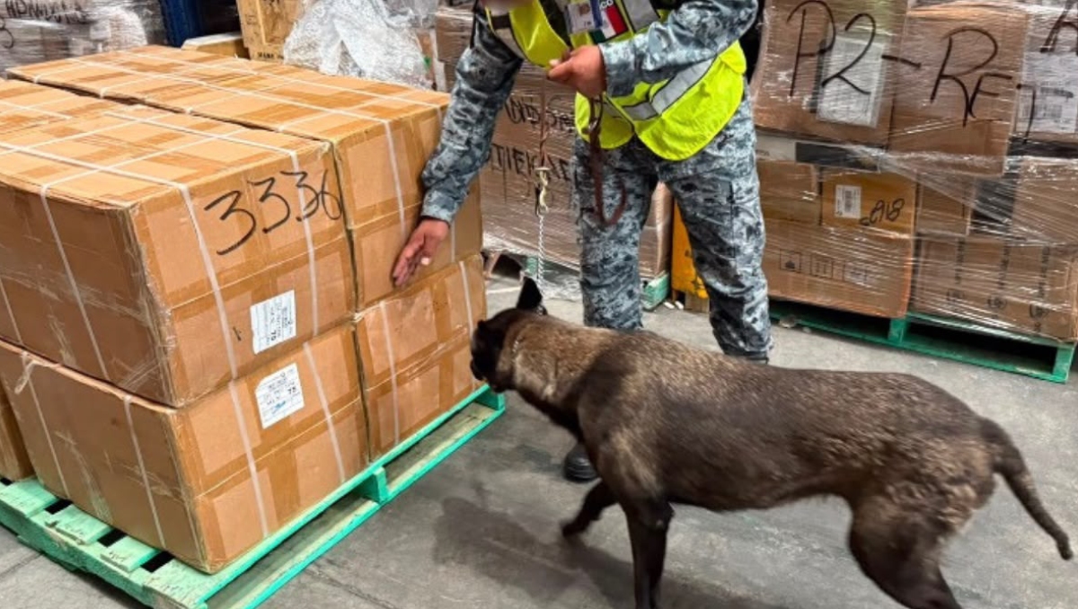 Aseguran en AIFA cargamento de 60 mil cajas de cigarrillos de Bangkok