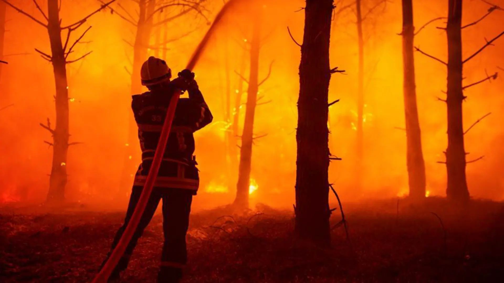 Un incendio forestal cerca de Perpiñán ya ha quemado más 4.600 hectáreas y sigue avanzando sin control
