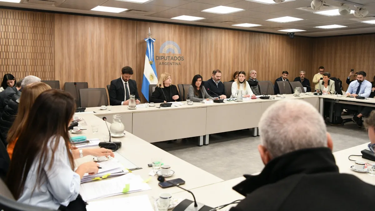 Ley antibarras: el Gobierno retoma la agenda de seguridad para reactivar la Cámara de Diputados