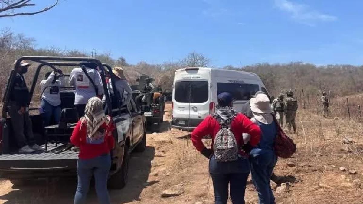 Muere marino tras estallido de explosivo improvisado en jornada de búsqueda con colectivos