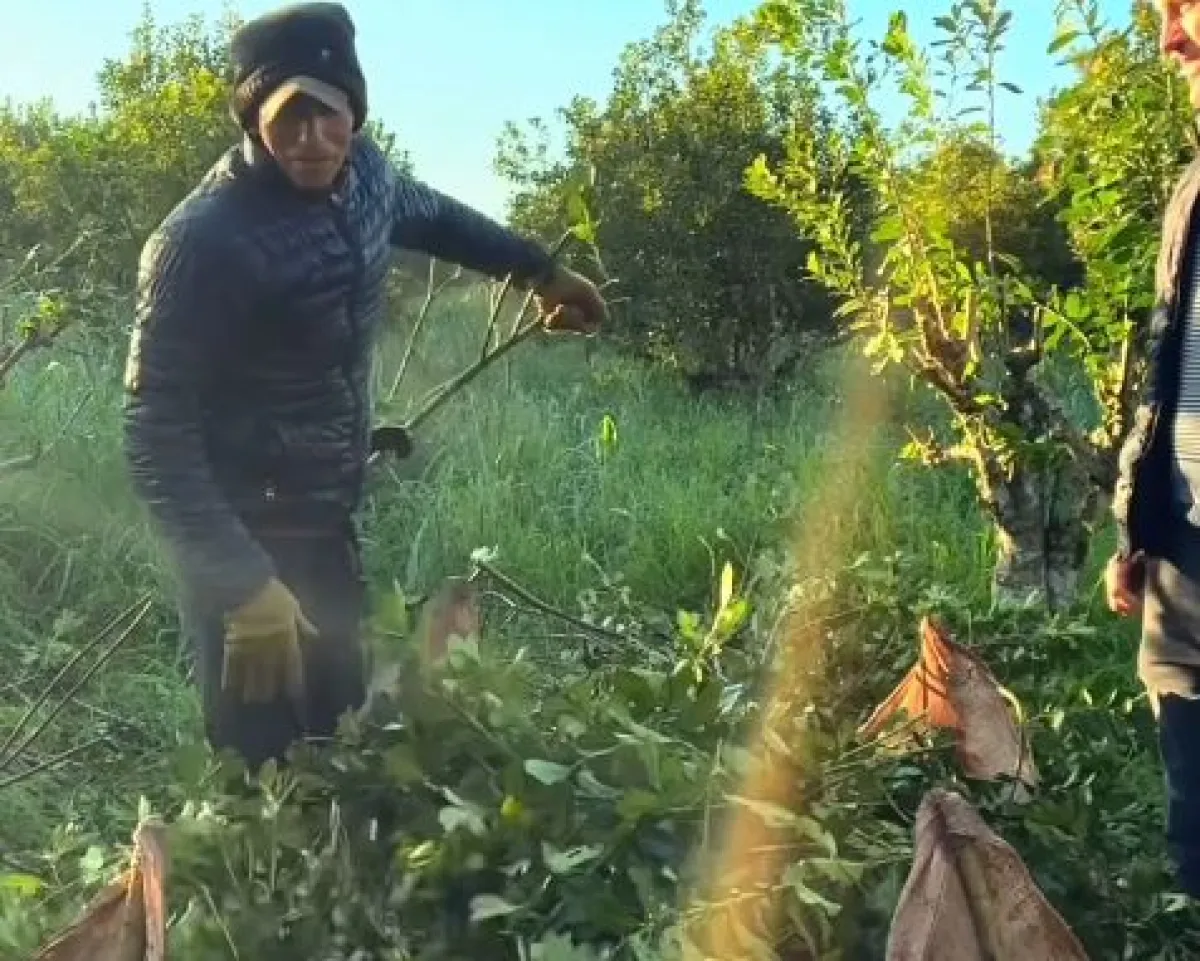 "Juita Guira Dibu Martínez!, manda un saludo para los tareferos de Misiones"