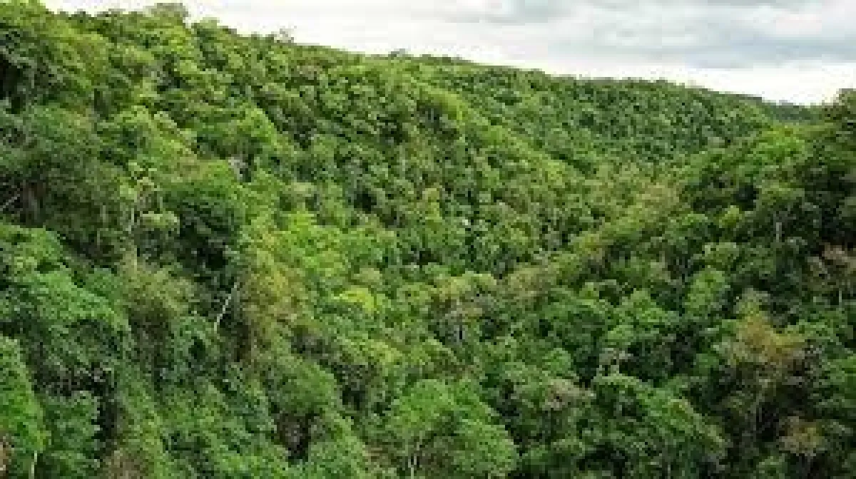 Reincidir en una infracción ambiental tendrá mayores consecuencias con el nuevo registro provincial