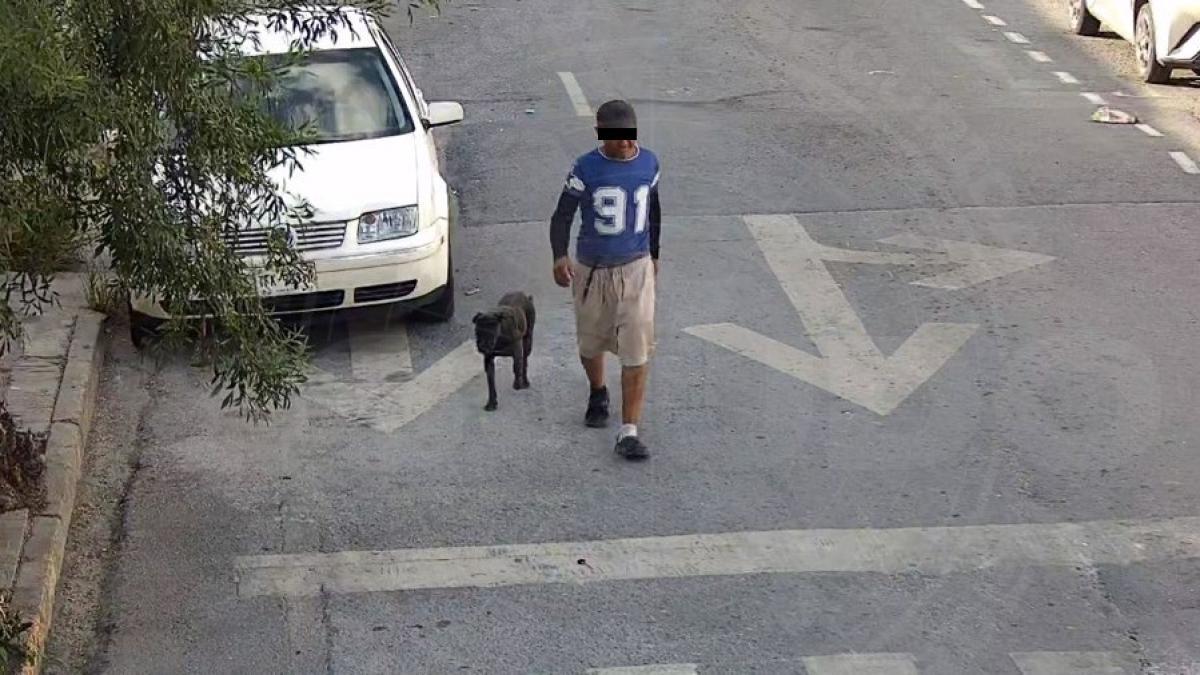 Detienen a hombre en Monterrey por incitar a sus perros a morder a una mujer