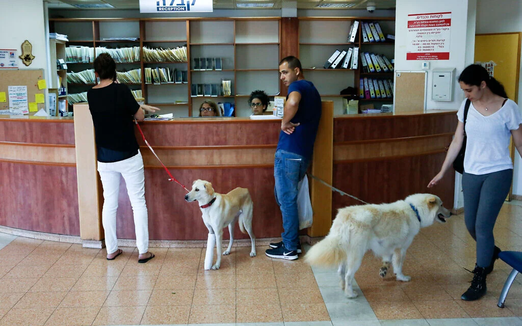 Superbugs threaten vision in animals - and can jump to humans, Israeli researchers warn
