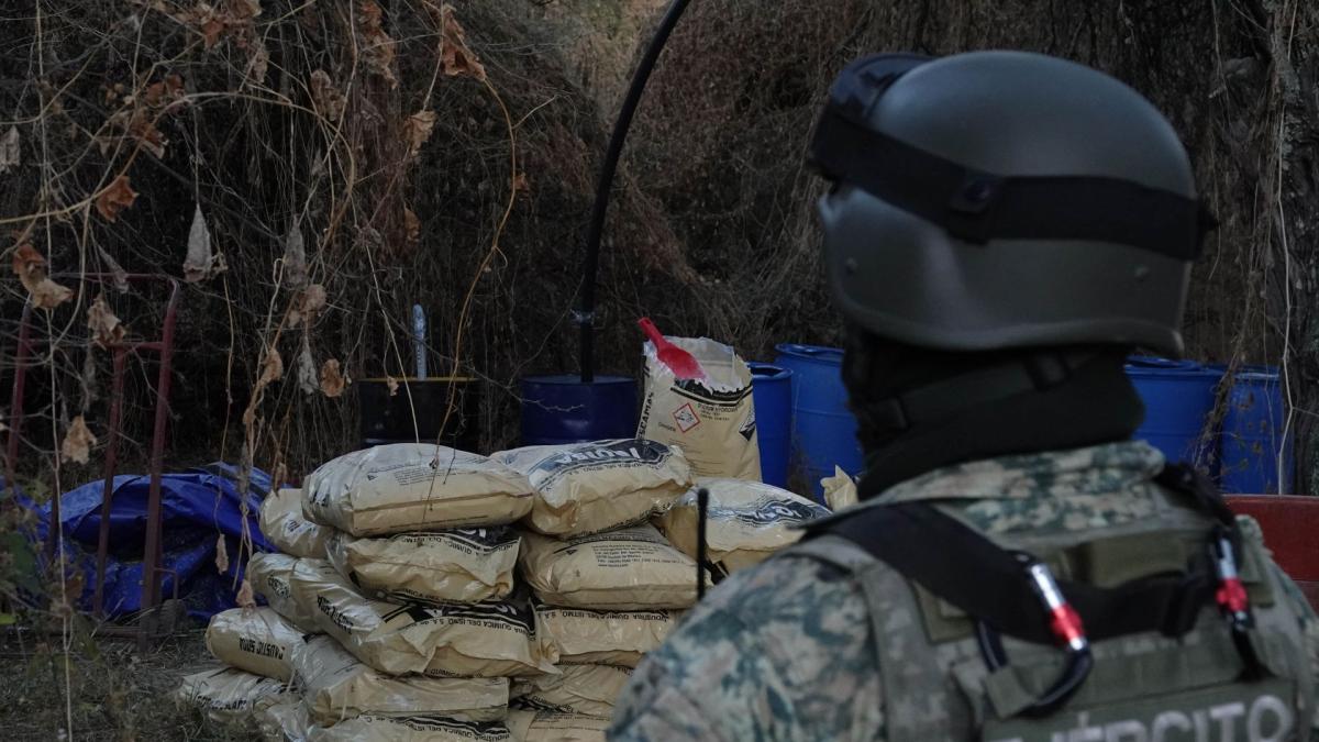 Ejército asegura precursores químicos valuados en 29 millones de pesos