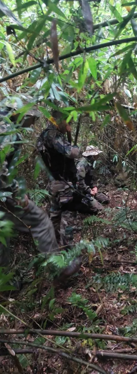 Hallaron huesos en el Parque Nacional Iguazú y no descartan que sean de un hombre desaparecido en 2025