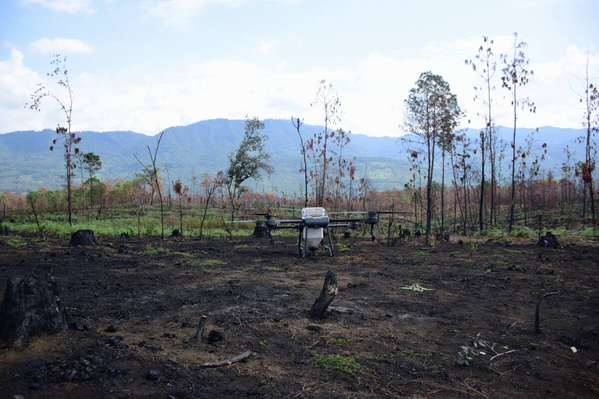 Drones impulsarán reforestación en Michoacán