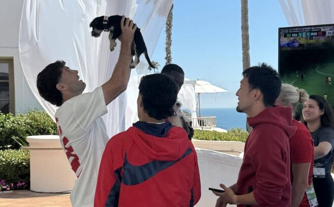 Selección de Estados Unidos recurrió a perros rescatados para aliviar la presión del Mundial