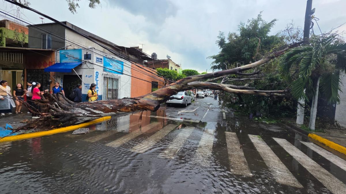 Lluvias dejan inundaciones y más de 100 autos afectados en Guadalajara