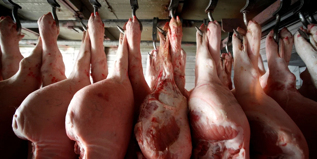 Las exportaciones de carne porcina crecieron más de 150% en valor durante los primeros cinco meses del año