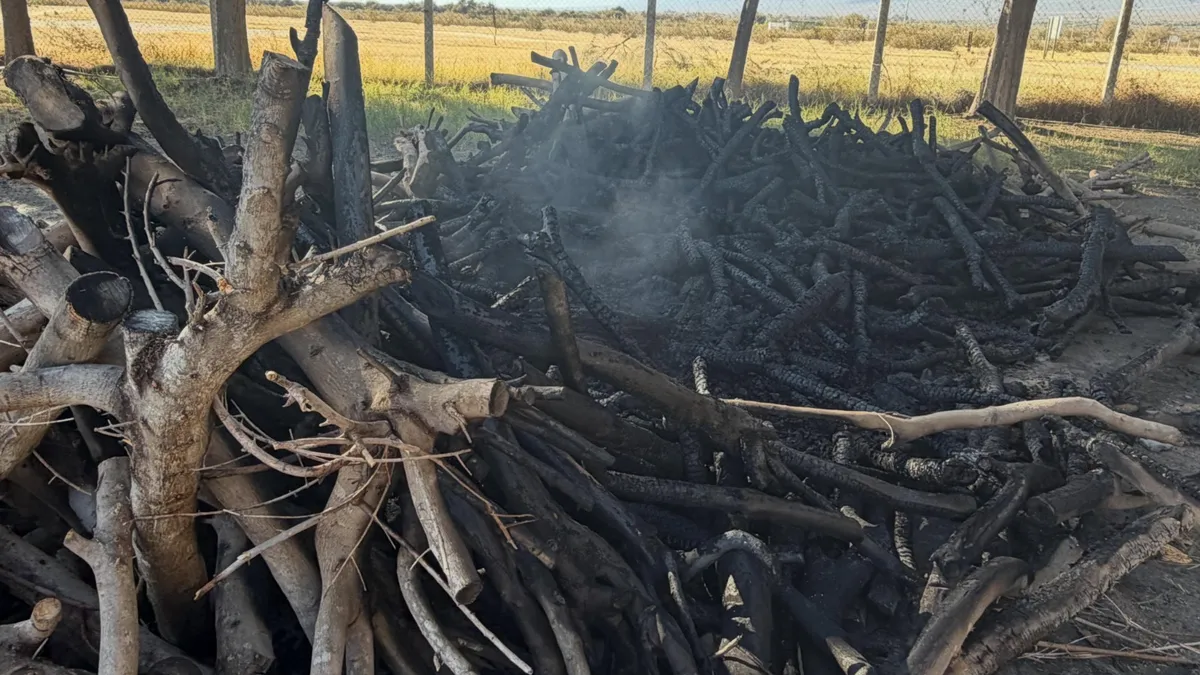 Saujil: denuncian que incendiaron un acopio de leña que iba a distribuirse por la ola de frío