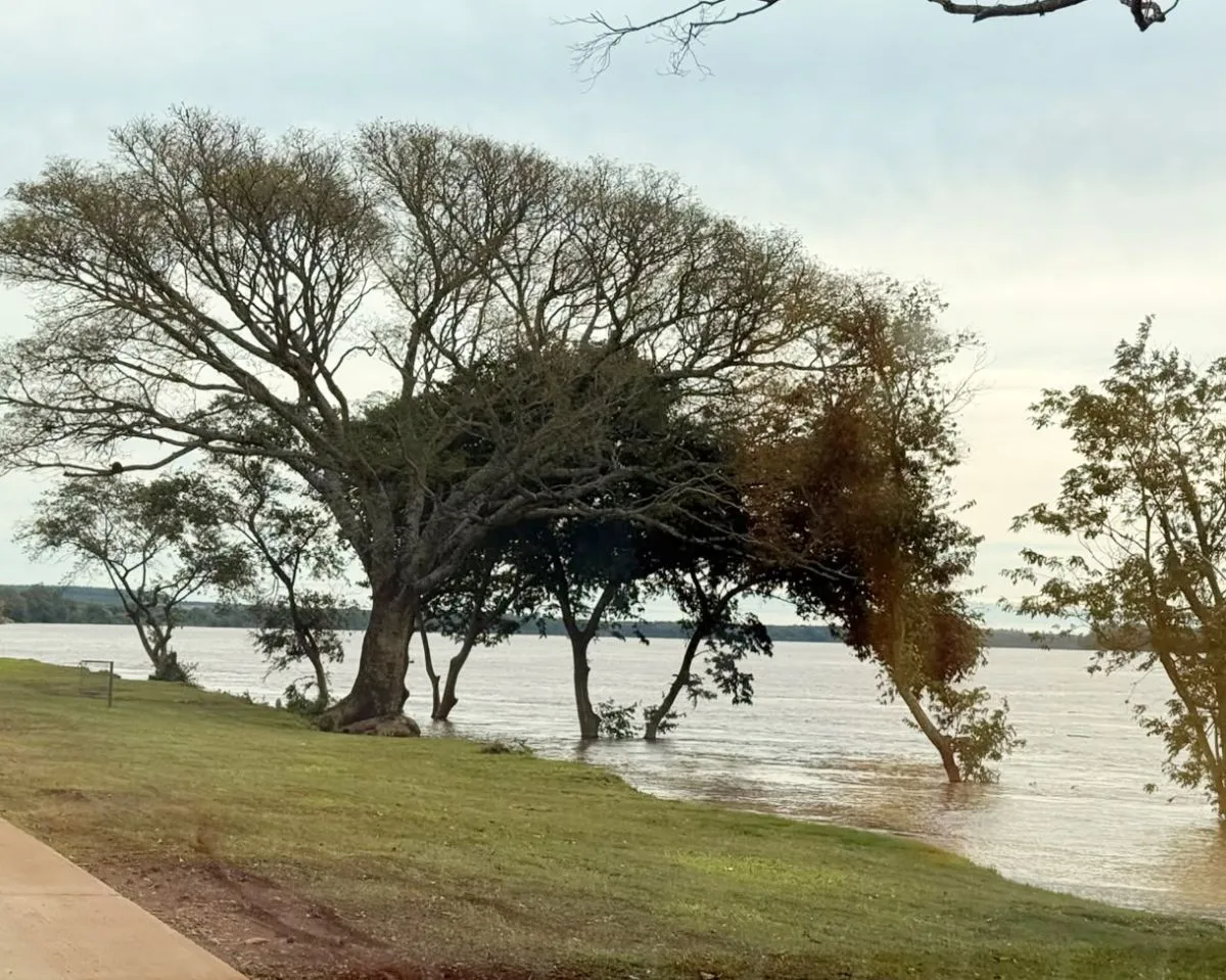 Santo Tomé: el río Uruguay se estacionó en 10,42 metros y el paseo costero sigue cerrado