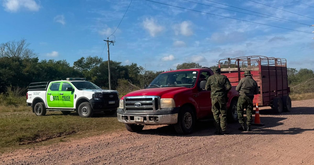Multaron a un productor por el traslado irregular de un toro en Mburucuyá