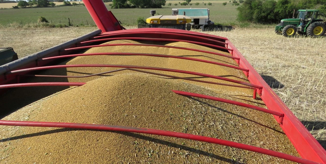 El agro ingresaría este año US$1.200 millones menos