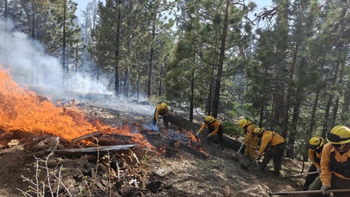 Incendio en Parque Nacional de Baja California consume 40 hectáreas; continúan labores de control